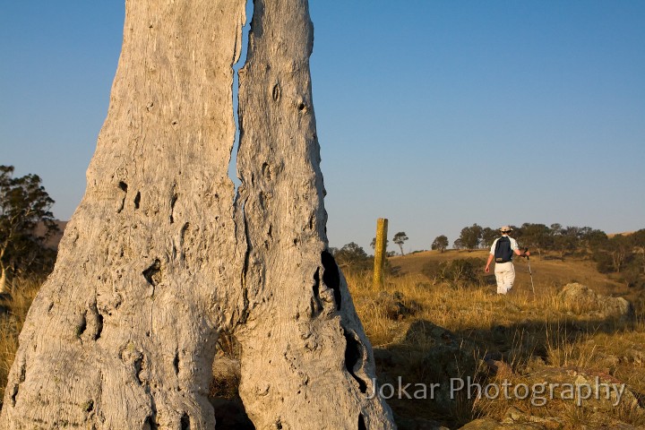 Burnt_Stump_Hill_20090225_025.jpg