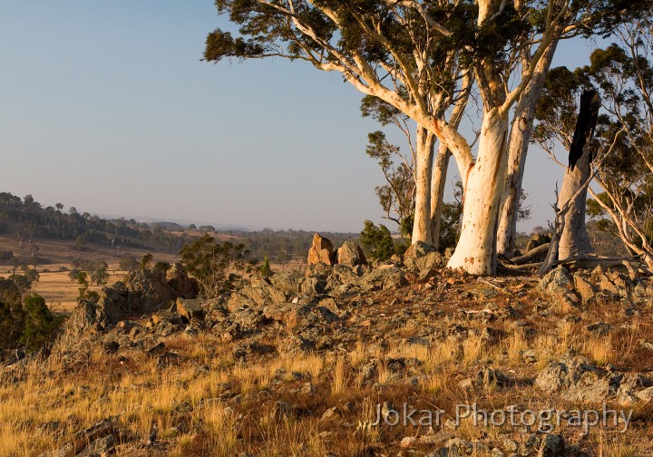 Burnt_Stump_Hill_20090225_027.jpg