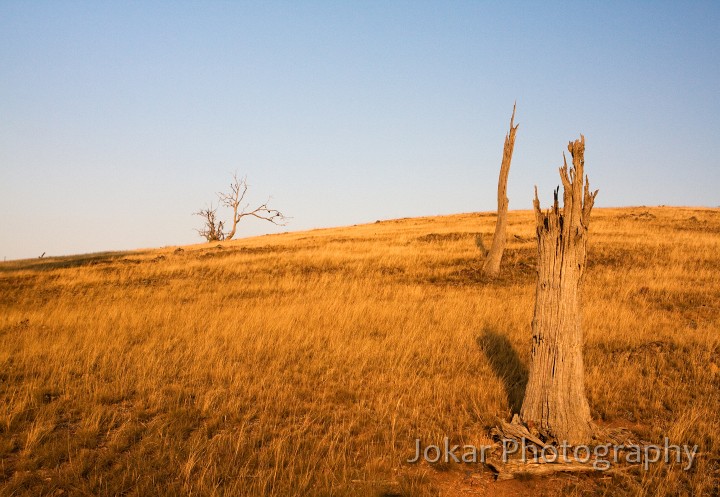 Burnt_Stump_Hill_20090225_031.jpg