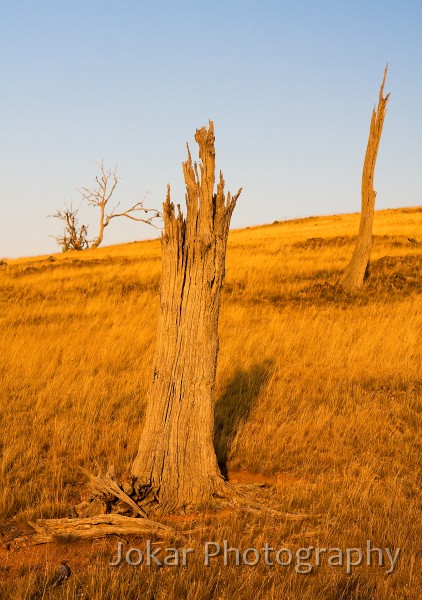 Burnt_Stump_Hill_20090225_032.jpg