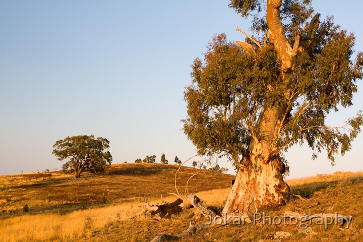 Burnt_Stump_Hill_20090225_038.jpg