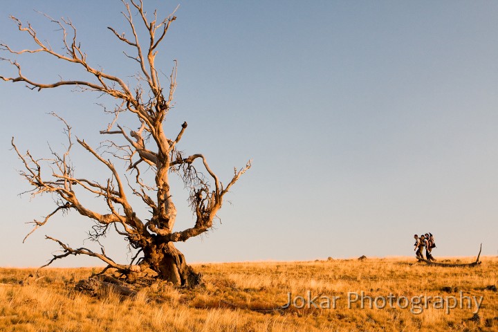 Burnt_Stump_Hill_20090225_046.jpg