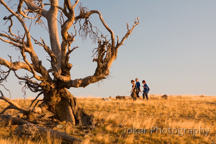 Burnt_Stump_Hill_20090225_054.jpg