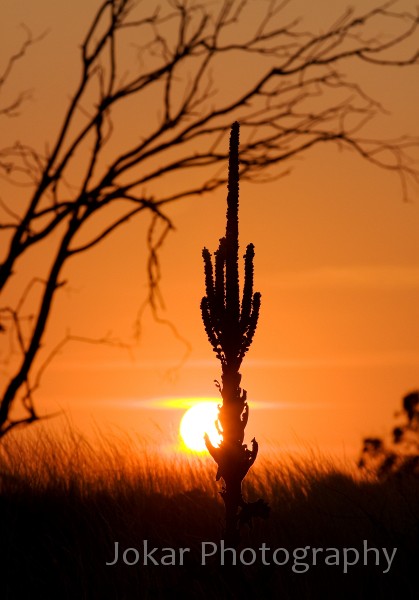 Burnt_Stump_Hill_20090225_101.jpg