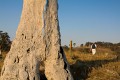 Burnt_Stump_Hill_20090225_025