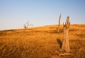 Burnt_Stump_Hill_20090225_031