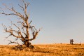 Burnt_Stump_Hill_20090225_046