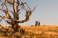 Burnt_Stump_Hill_20090225_054