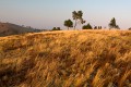 Burnt_Stump_Hill_20090225_078