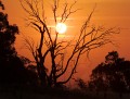 Burnt_Stump_Hill_20090225_098