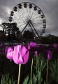 Floriade_20091002_027