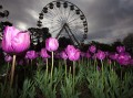 Floriade_20091002_028