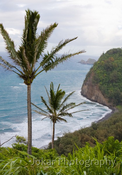 Hawaii_20090607_349.jpg - Pololu Valley, Hawaii