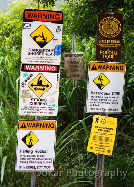 Hawaii_20090607_356.jpg - Pololu Valley, Hawaii