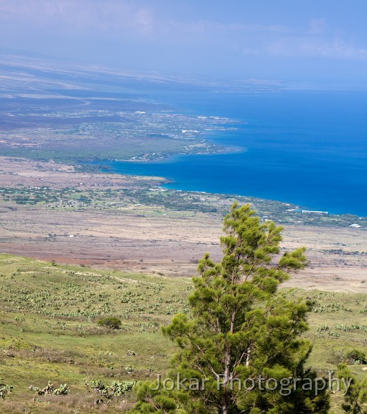 Hawaii_20090608_377.jpg - North Kona Coast from Kohala Mountain Road, Hawaii