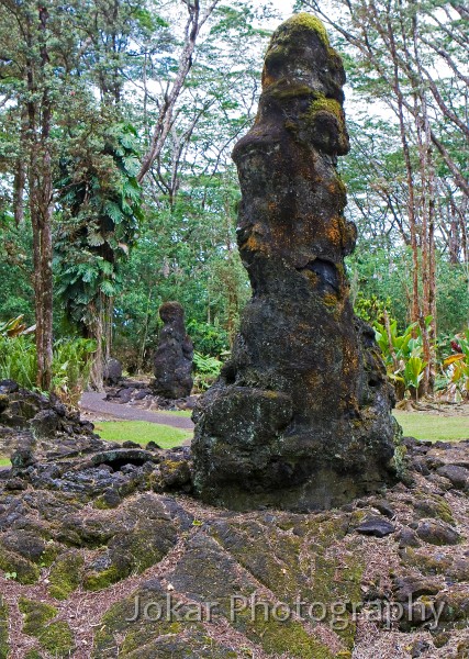 Hawaii_20090609_512.jpg - Lava Tree State Monument, Hawaii