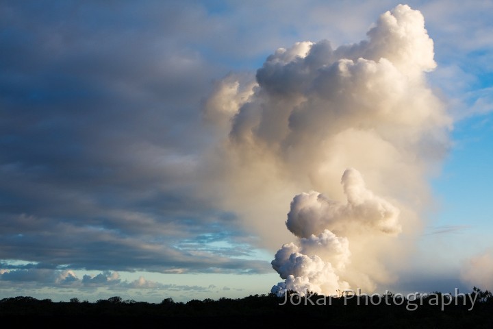 Hawaii_20090609_686.jpg