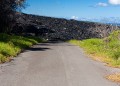 Hawaii_20090609_598