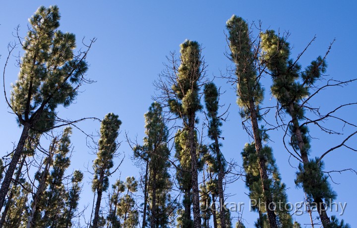 Mt_Stromlo_20090718_015.jpg