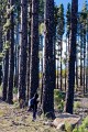 Mt_Stromlo_20090718_012