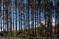 Mt_Stromlo_20090718_013