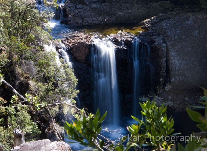 Overland_Track_20090201_047.jpg - Cradle Valley, Tasmania