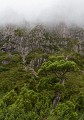 Overland_Track_20090202_116