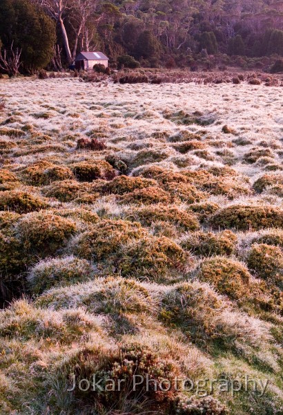 Overland_Track_20090203_136.jpg