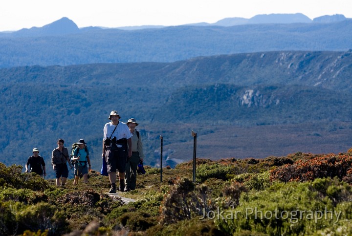 Overland_Track_20090203_172.jpg - Above Waterfall Hut, Overland Track, Tasmania