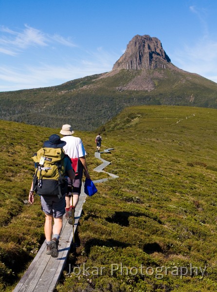 Overland_Track_20090203_174.jpg - Approaching  Barn Bluff, Overland Track, Tasmania