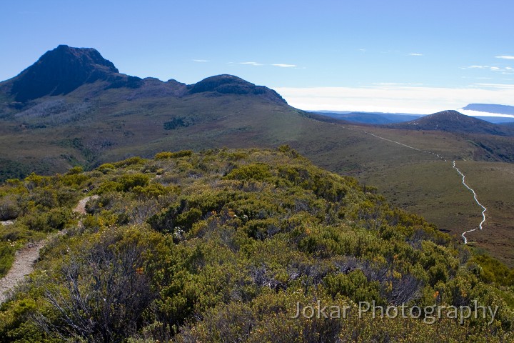 Overland_Track_20090203_181.jpg - Cradle Mountain and Mt Emmett from near Barn Bluff, Overland Track, Tasmania