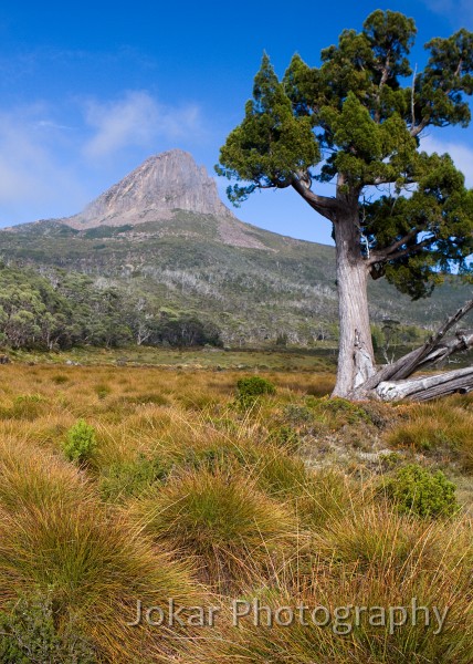 Overland_Track_20090204_213.jpg