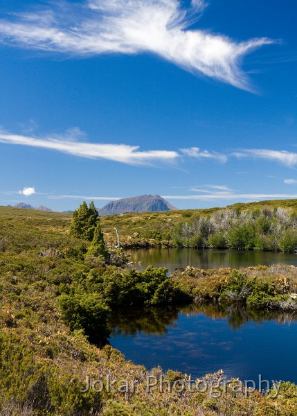 Overland_Track_20090204_217.jpg