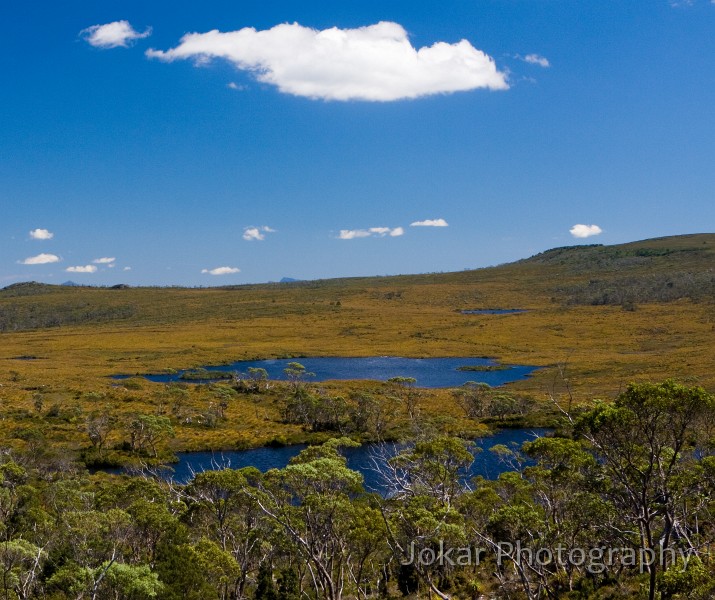 Overland_Track_20090204_244.jpg