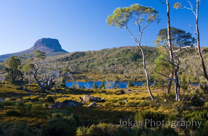 Overland_Track_20090204_254.jpg