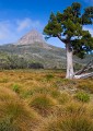 Overland_Track_20090204_213