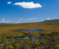 Overland_Track_20090204_244