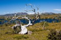 Overland_Track_20090204_247