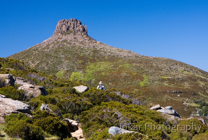 Overland_Track_20090206_425.jpg - Mt Pelion East, Overland Track, Tasmania
