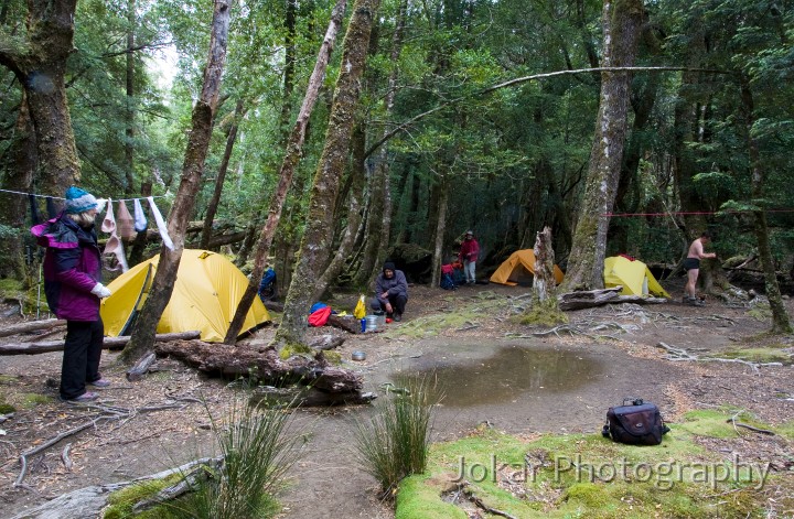 Overland_Track_20090208_551.jpg - Pine Valley campsite, Overland Track, Tasmania