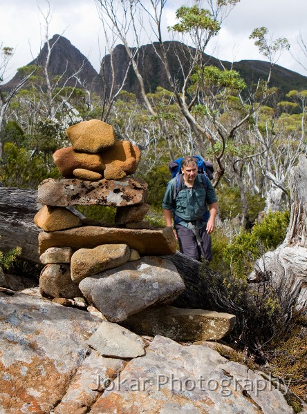 Overland_Track_20090209_562.jpg - The Labyrynth, Pine Valley, Overland Track, Tasmania