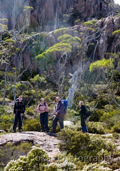 Overland_Track_20090209_576.jpg - The Labyrynth, Pine Valley, Overland Track, Tasmania