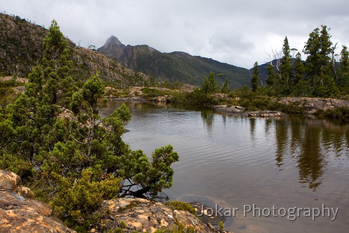 Overland_Track_20090209_620.jpg - The Labyrynth, Pine Valley, Overland Track, Tasmania