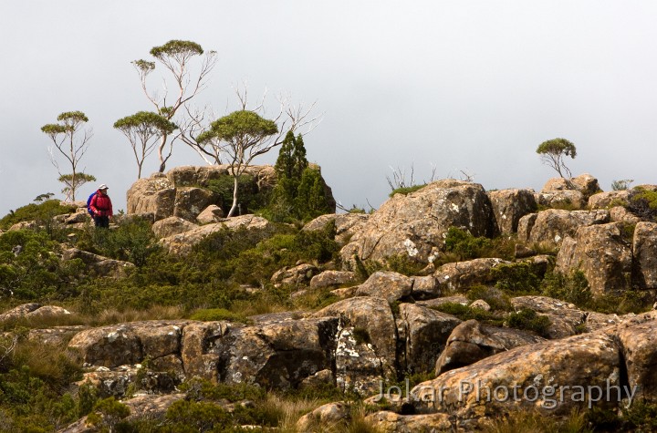 Overland_Track_20090209_630.jpg - The Labyrynth, Pine Valley, Overland Track, Tasmania