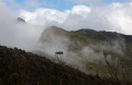 Overland_Track_20090209_591