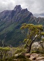 Overland_Track_20090209_637