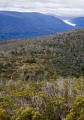 Overland_Track_20090210_661