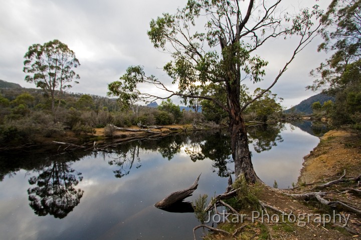 Overland_Track_20090211_705.jpg - Narcissuss River, Overland Track, Tasmania