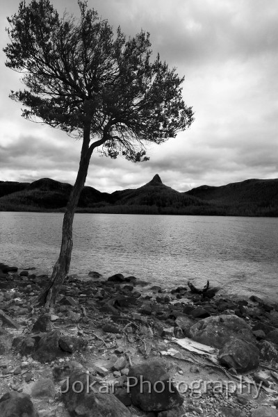 Overland_Track_20090211_744.jpg - Echo Point, Lake St Clair, Overland Track, Tasmania