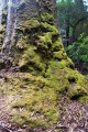 Overland_Track_20090211_738